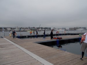 DSCN2343