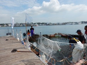 DSCN0005