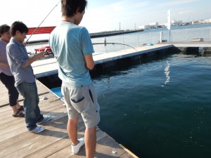 DSCN0116
