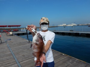 DSCN0248
