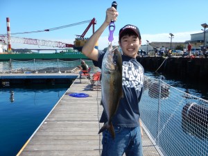 DSCN0377