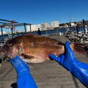 D9C92319-1E95-4FD1-AC68-8CB928DD2AC8