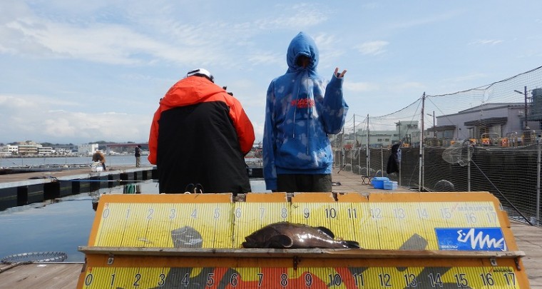 DSCN5664