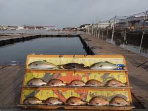 DSCN5688
