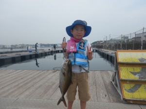 DSCN5917