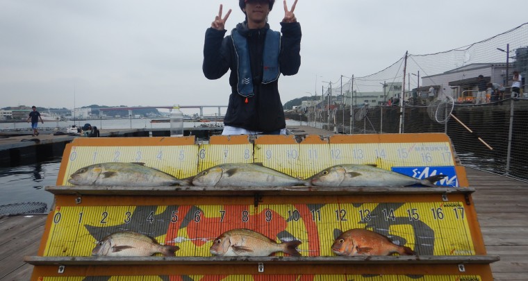 DSCN6013
