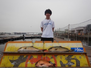 DSCN6016