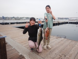 DSCN6017