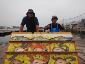 DSCN6019