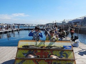 DSCN6153