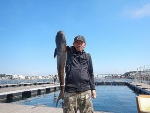 DSCN6156