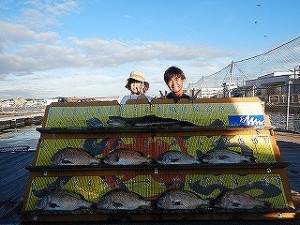 DSCN6166